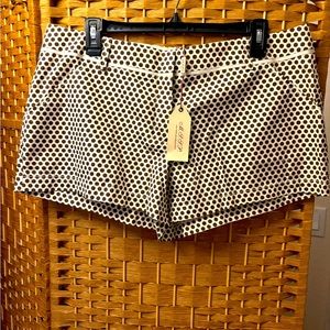 Max Studio Womens Chino Shorts 12 Cream Brown Polka Dots Dressy Casual Light